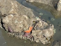 IMG_5902.jpeg