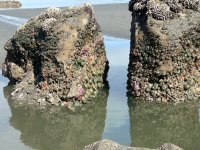 IMG_5903.jpeg