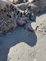 IMG_5904.jpeg