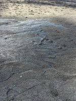 IMG_5909.jpeg