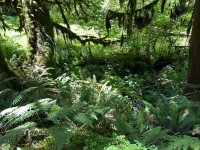 IMG_5911.jpeg