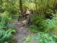 IMG_5913.jpeg