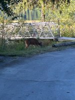 IMG_5930.jpeg