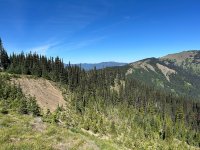 IMG_5934.jpeg