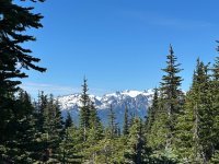 IMG_5937.jpeg