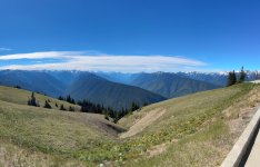 IMG_5932.jpeg