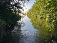 IMG_5946.jpeg