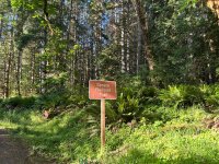 IMG_5949.jpeg