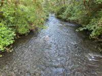 IMG_5947.jpeg