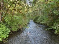 IMG_5948.jpeg