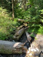 IMG_5953.jpeg
