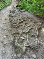 IMG_5956.jpeg