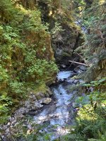 IMG_5960.jpeg