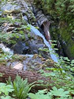 IMG_5961.jpeg
