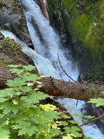 IMG_5962.jpeg