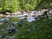 IMG_5964.jpeg