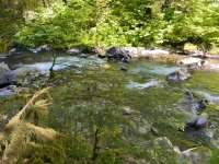 IMG_5965.jpeg