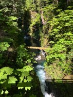 IMG_5967.jpeg
