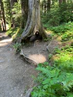 IMG_5969.jpeg