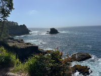 IMG_5984.jpeg