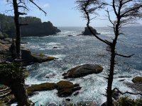 IMG_5986.jpeg