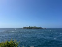 IMG_5989.jpeg