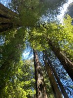 IMG_6014.jpeg