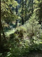 IMG_6015.jpeg