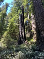 IMG_6022.jpeg