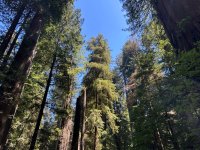 IMG_6023.jpeg