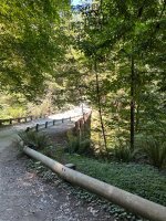 IMG_6024.jpeg