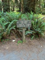IMG_6032.jpeg