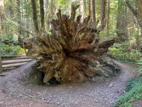 IMG_6037.jpeg