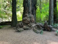 IMG_6039.jpeg