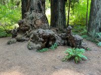 IMG_6040.jpeg
