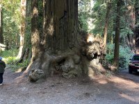 IMG_6048.jpeg