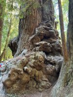 IMG_6049.jpeg