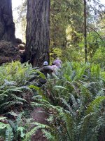 IMG_6052.jpeg