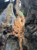 IMG_6053.jpeg