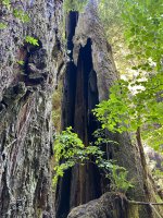 IMG_6054.jpeg