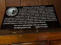 IMG_5882.jpeg