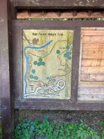 IMG_5884.jpeg